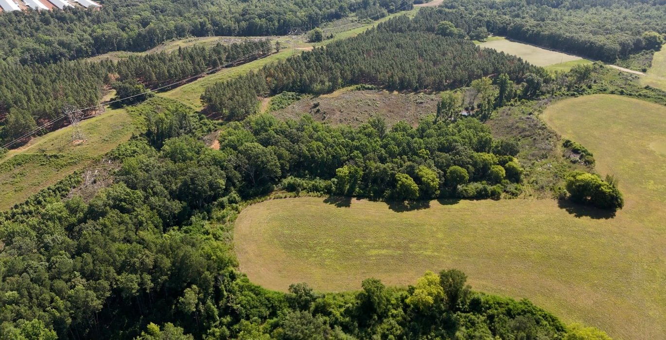 784 Horseshoe Road Photo 4