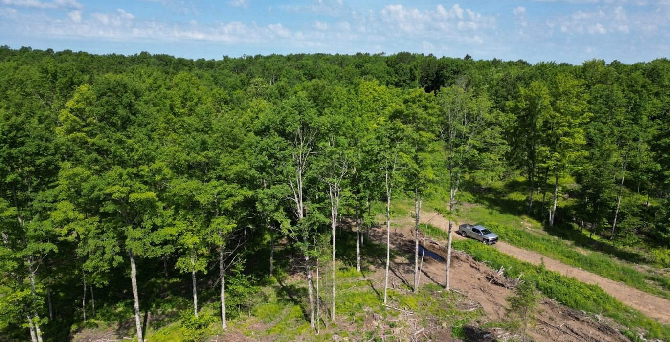 784 county line 1