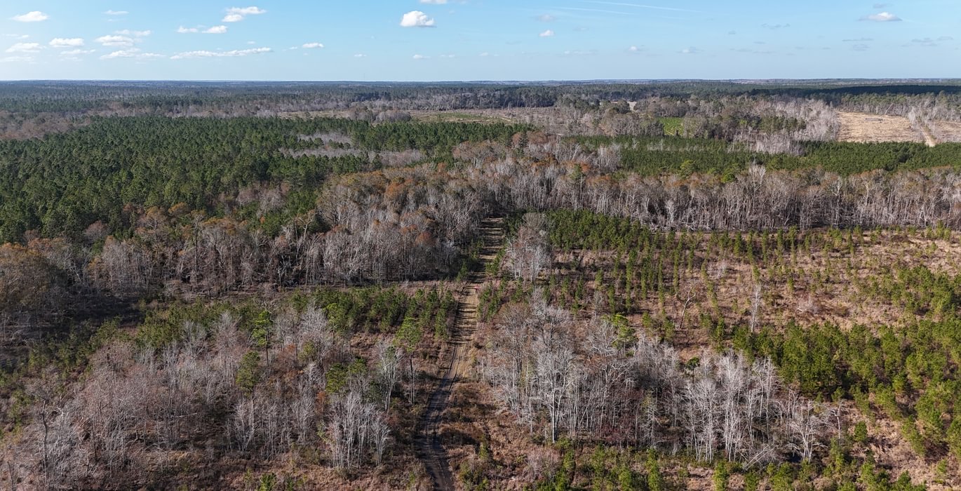 785 dji fly 20241216 140446 0064 1734391509635 photo