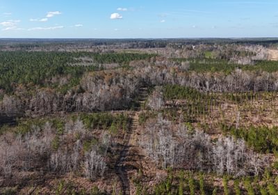 785 dji fly 20241216 140446 0064 1734391509635 photo