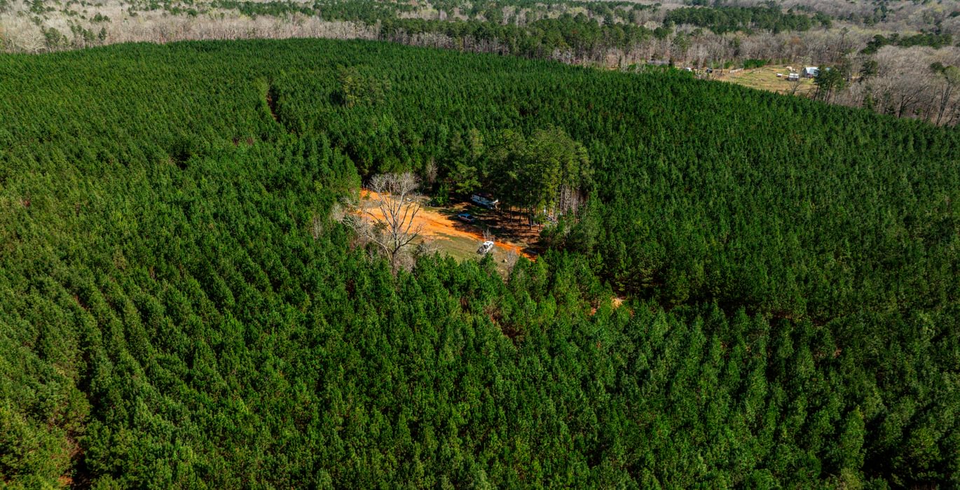 787 AFM Max Pines 20