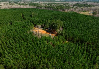 787 AFM Max Pines 20