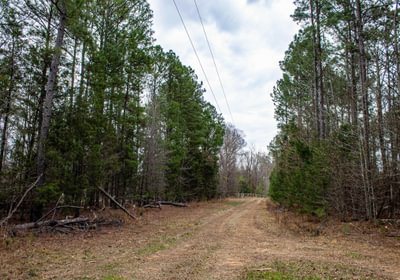 788 FORTLAWN IMG 6816