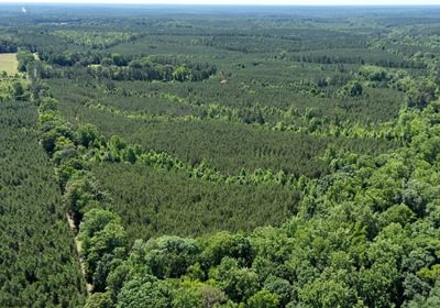 788 Horton Tract Photo 22