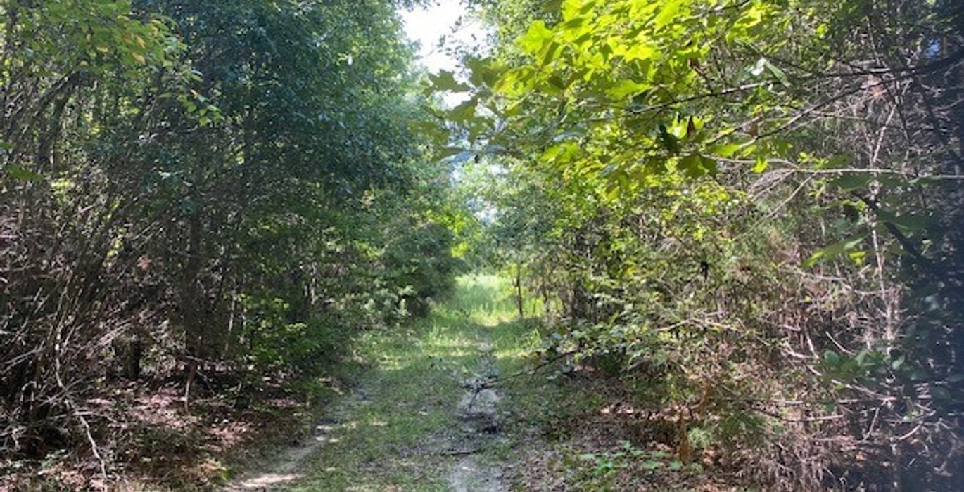 788 gum springs 22
