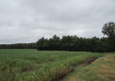 790 53 IMG 1177