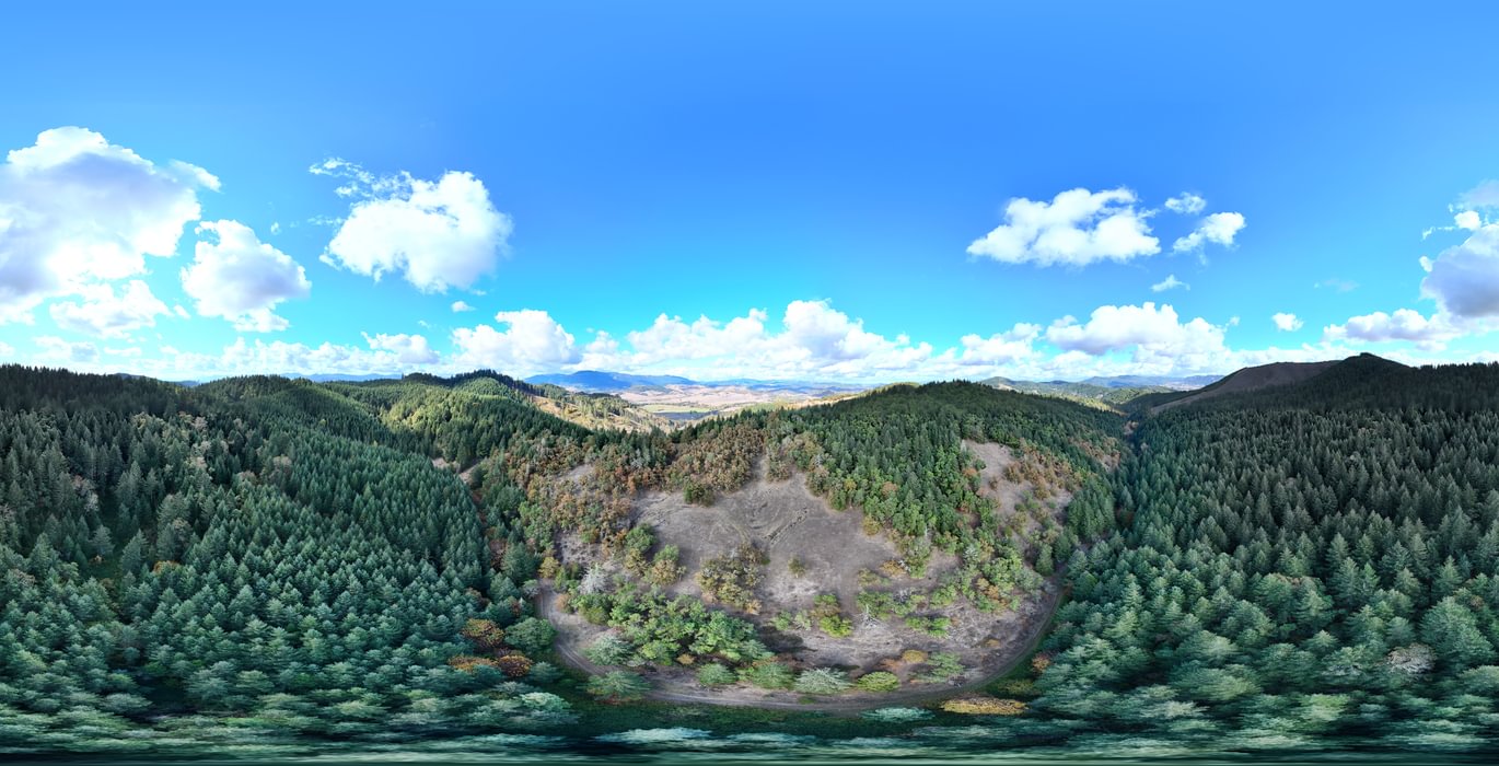 790 Sutherlin 360
