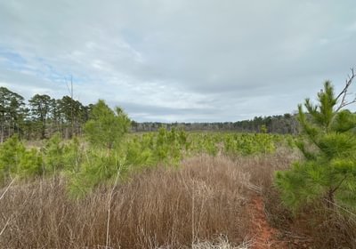 792 IMG 5616