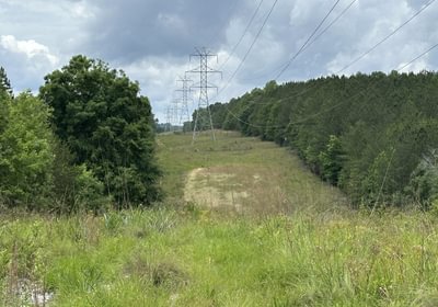 793 IMG 1712