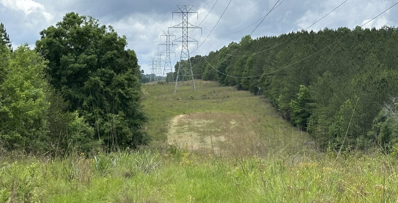 793 IMG 1712