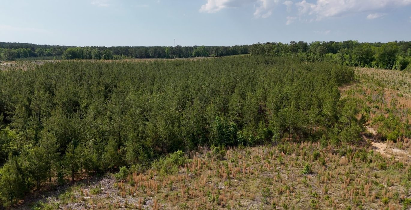 794 AFM Johnson 183 Photo 15