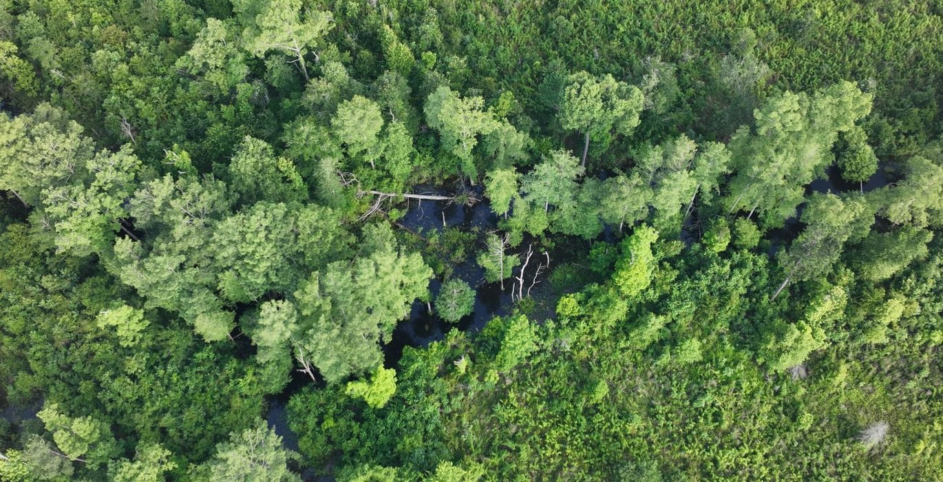 794 DJI 20260529212646 0036 D