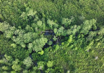 794 DJI 20260529212646 0036 D