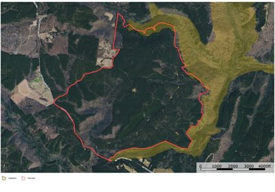 796 1131 South Aerial Map