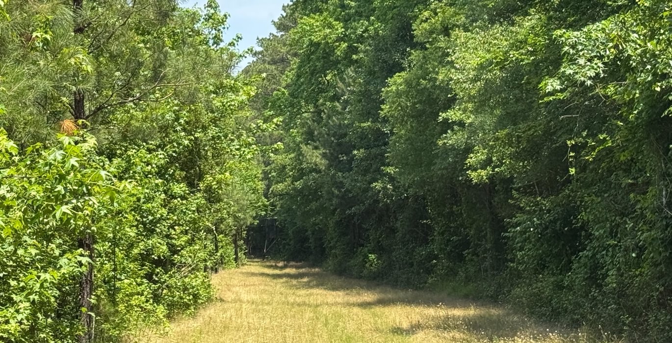 797 IMG 9419