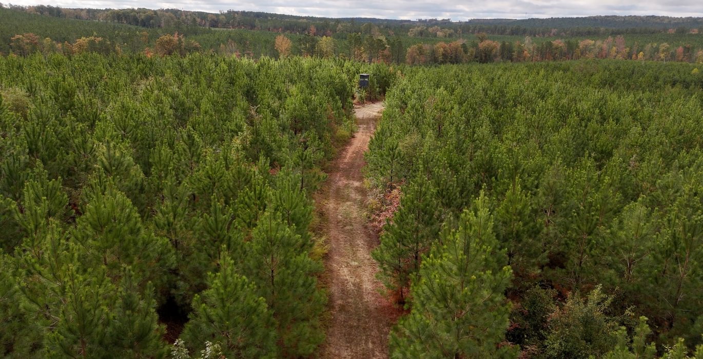 798 AFM Richmond 126 Tract Photo 2