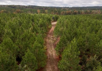 798 AFM Richmond 126 Tract Photo 2