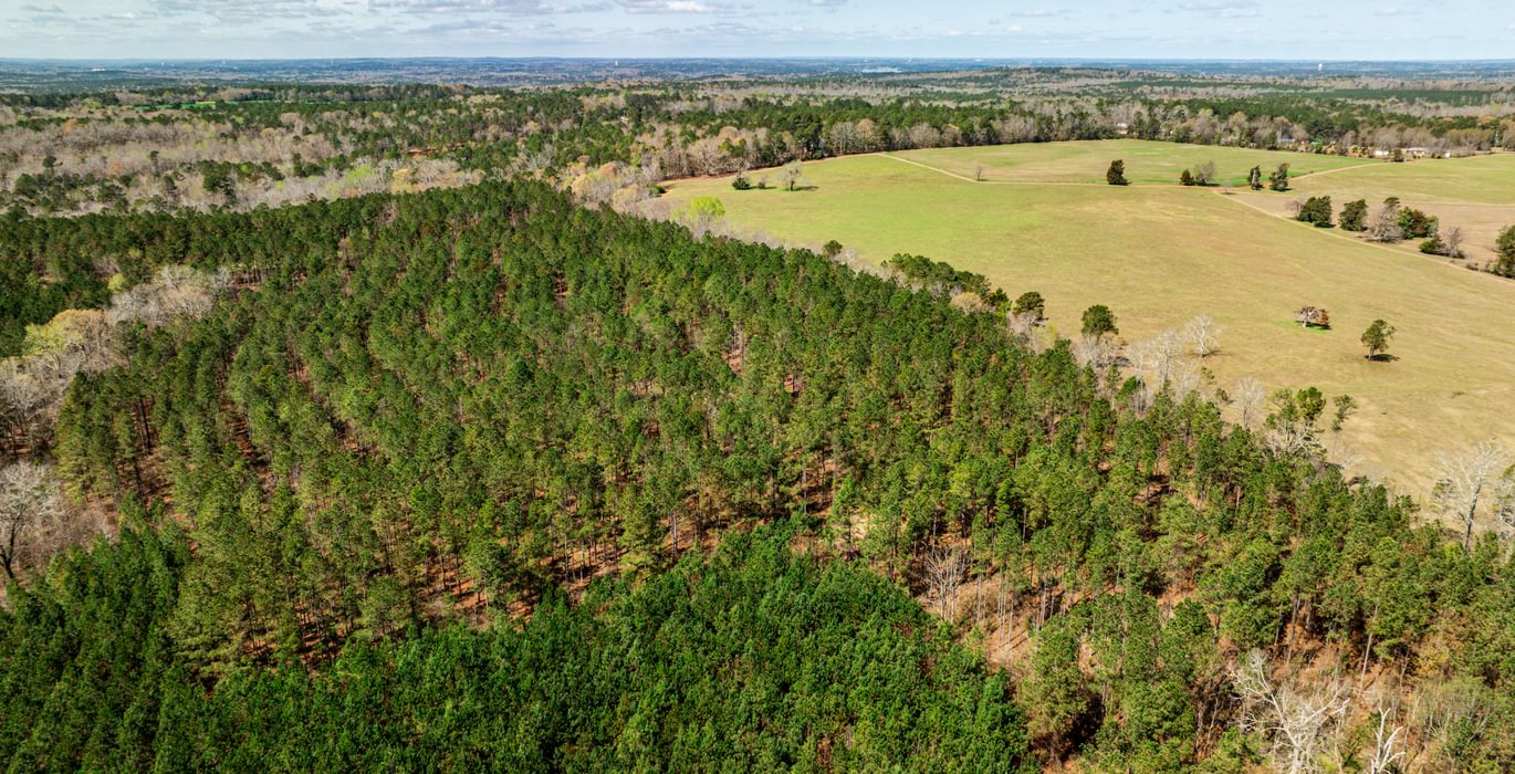 799 AFM Max Pines 16