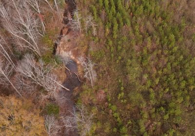 799 AFM Crump Farm Photo 20