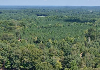 799 Simlin Creek Photo 22