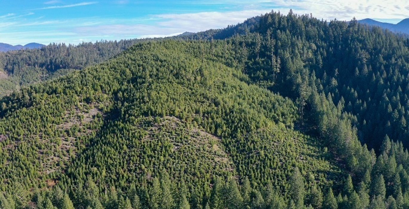 799 Photo Dec 04 2025 10 11 21 PM 11