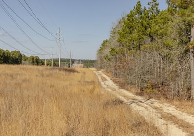 79 796 A1871 1
