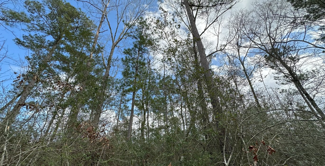 79 IMG 5511