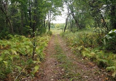 7 ATV trail looking back to Beaver Lane
