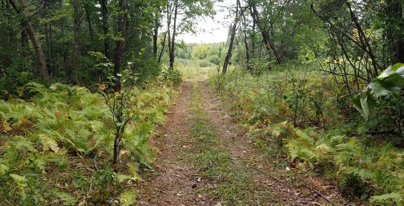 7 ATV trail looking back to Beaver Lane