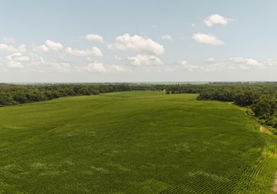 7 DJI 20250618152107 0175 D
