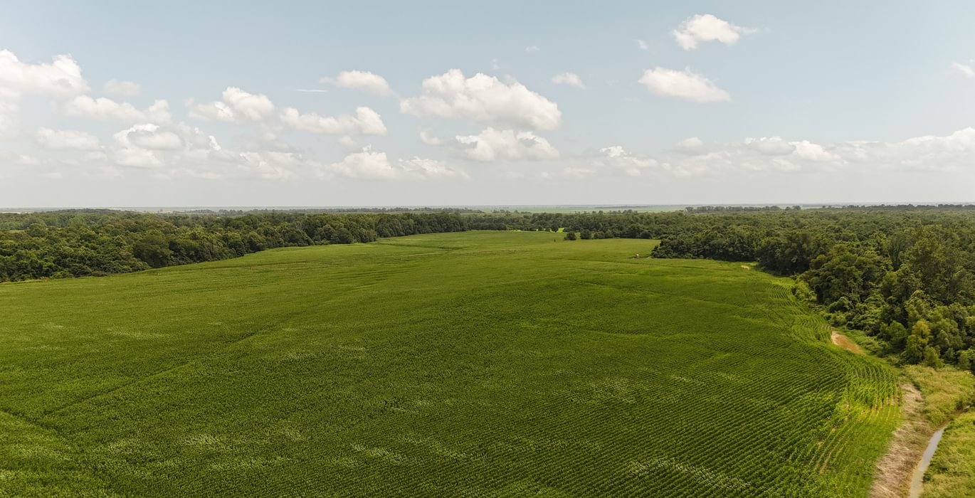 7 DJI 20250618152107 0175 D