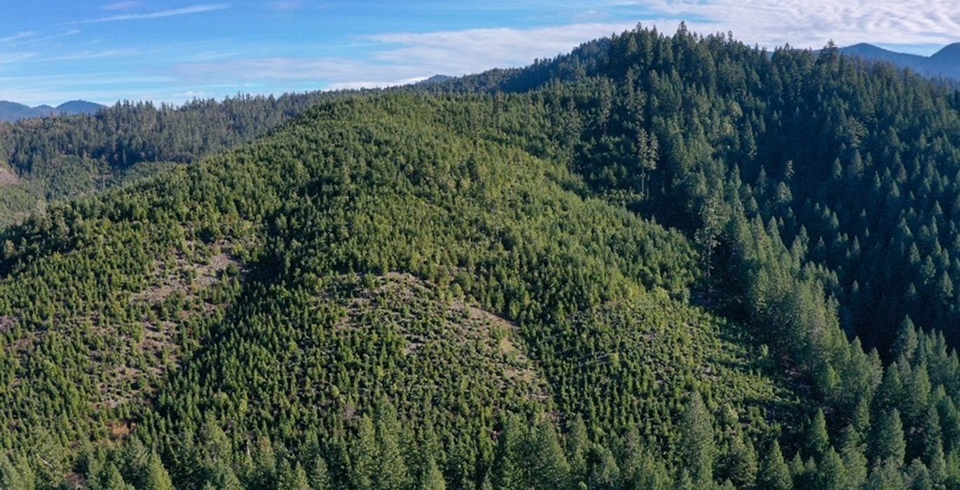 7 Photo Dec 04 2025 10 11 21 PM 12