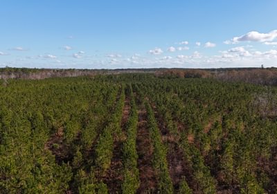 7 dji fly 20241216 140712 0077 1734391505157 photo