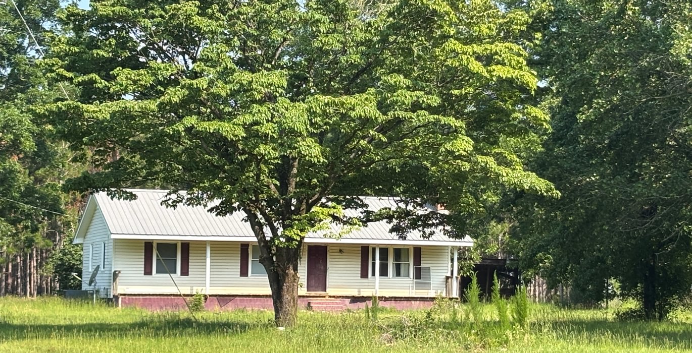 83 IMG 5131