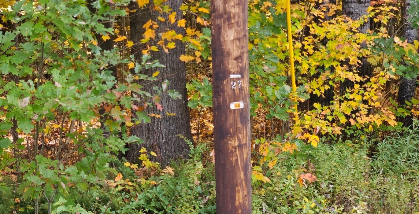 800 Pole along Rt 2