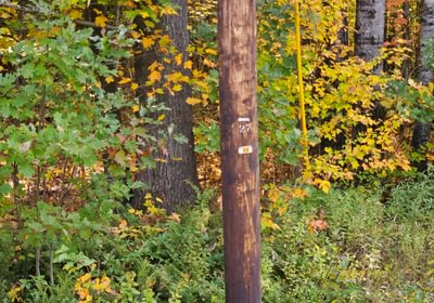 800 Pole along Rt 2