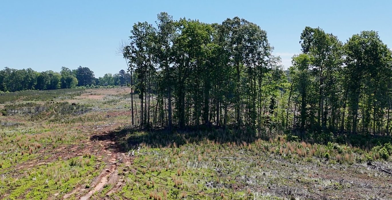 802 AFM Eaton Ferry Photo 18