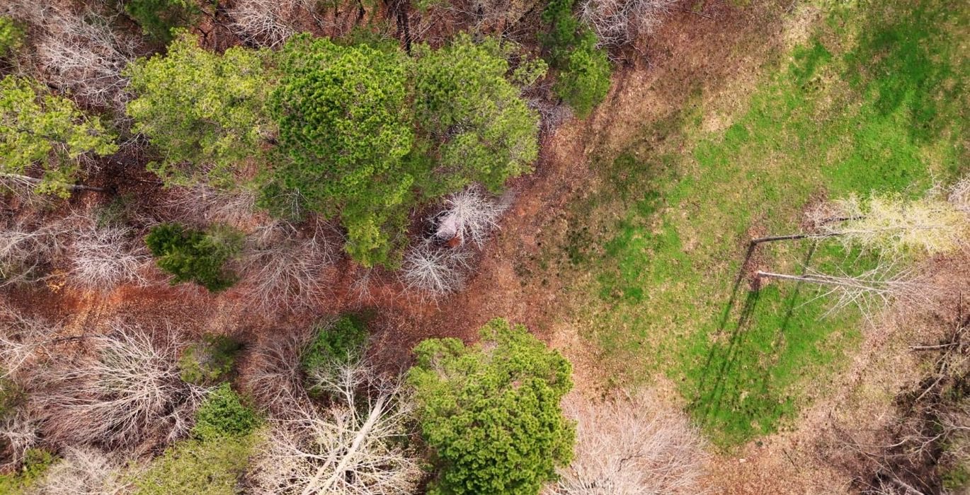 802 AFM West Fork 85 Photo 22