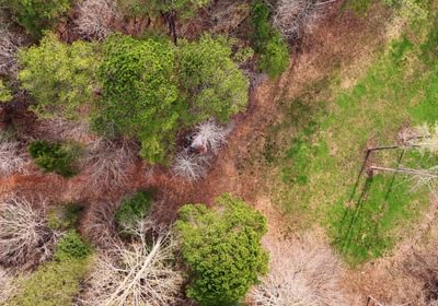 802 AFM West Fork 85 Photo 22