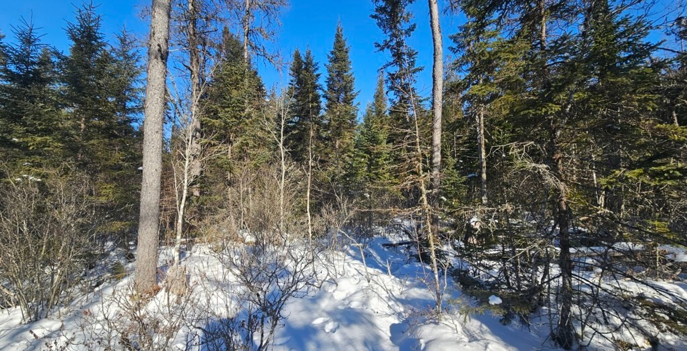 803 8 Lot off Woods Road