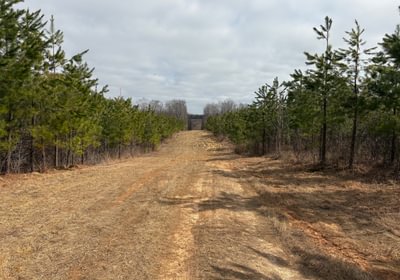 803 IMG 0835