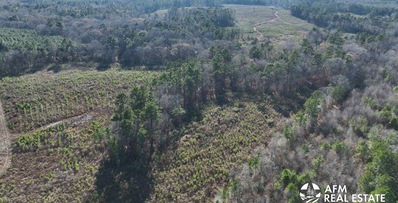 804 DJI 20250131154157 0020 V