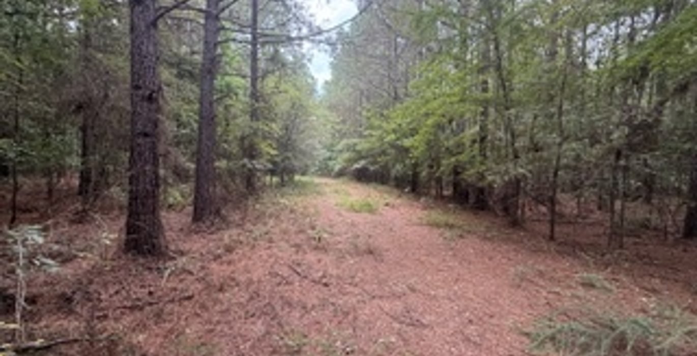 804 IMG 7888