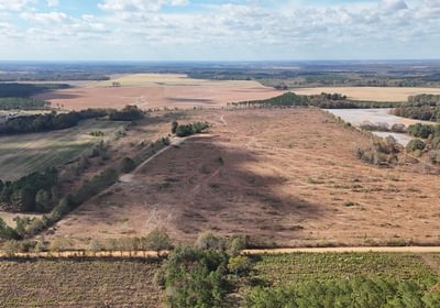 804 dji fly 20251107 132332 0047 1762640678669 photo