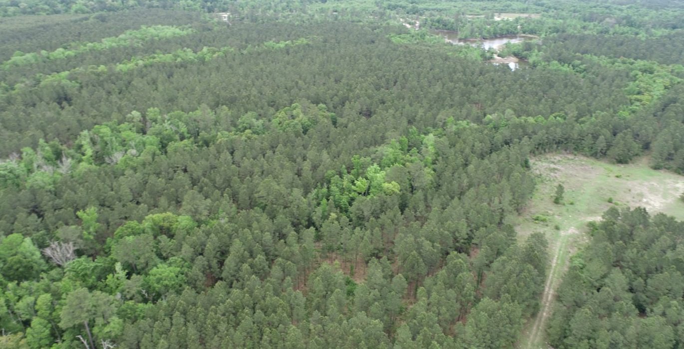 806 DJI 0387
