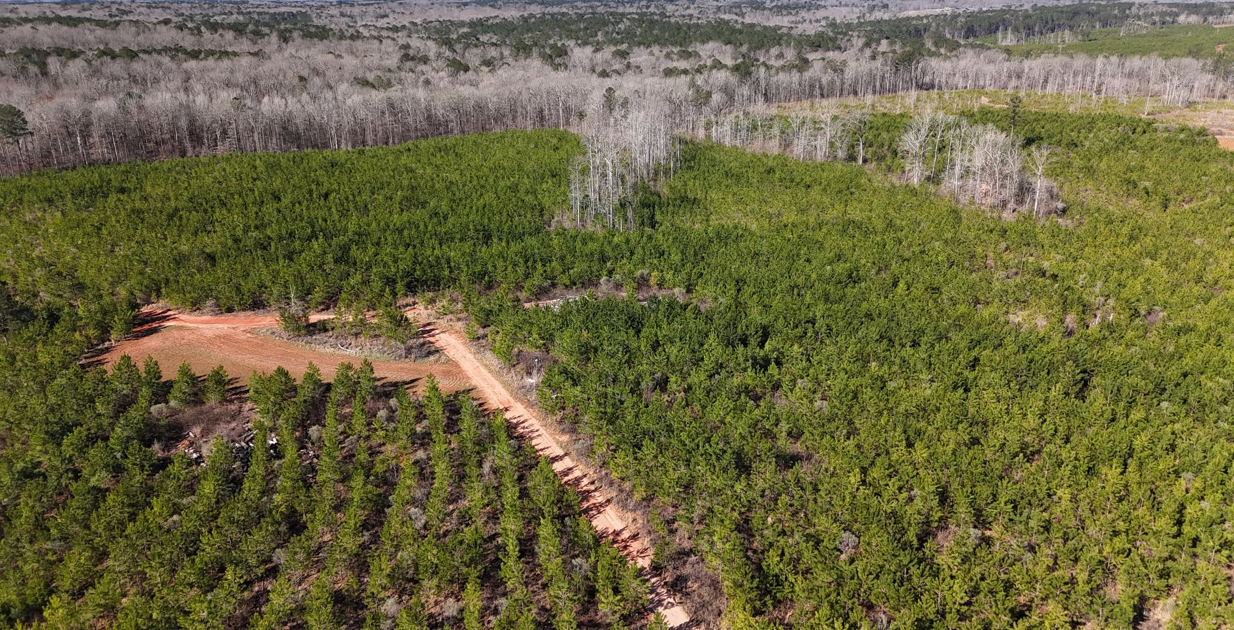 Photo 12 of Wolf Creek - Sportsman Tract, 182 acres, Jasper County, Georgia
