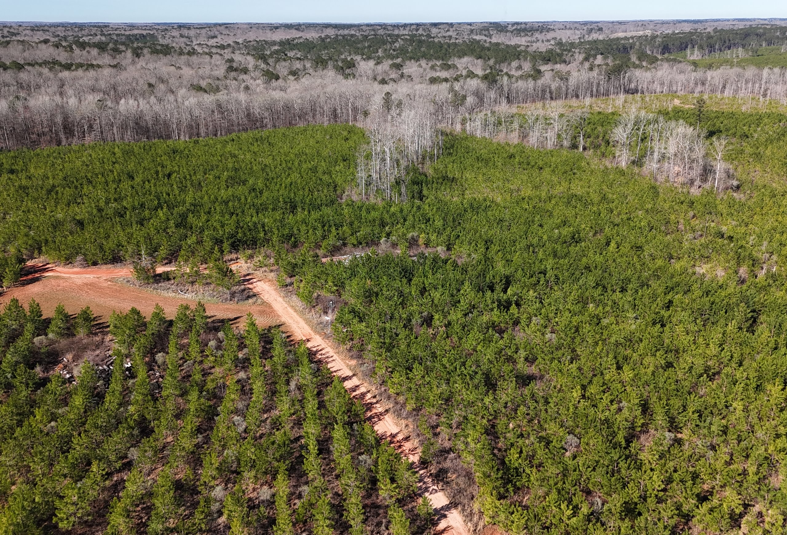 Photo 12 of Wolf Creek - Sportsman Tract, 182 acres, Jasper County, Georgia
