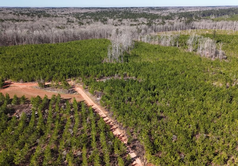 Photo 12 of Wolf Creek - Sportsman Tract, 182 acres, Jasper County, Georgia