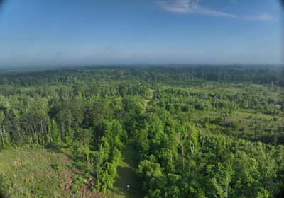 806 DJI 20260529211528 0009 D