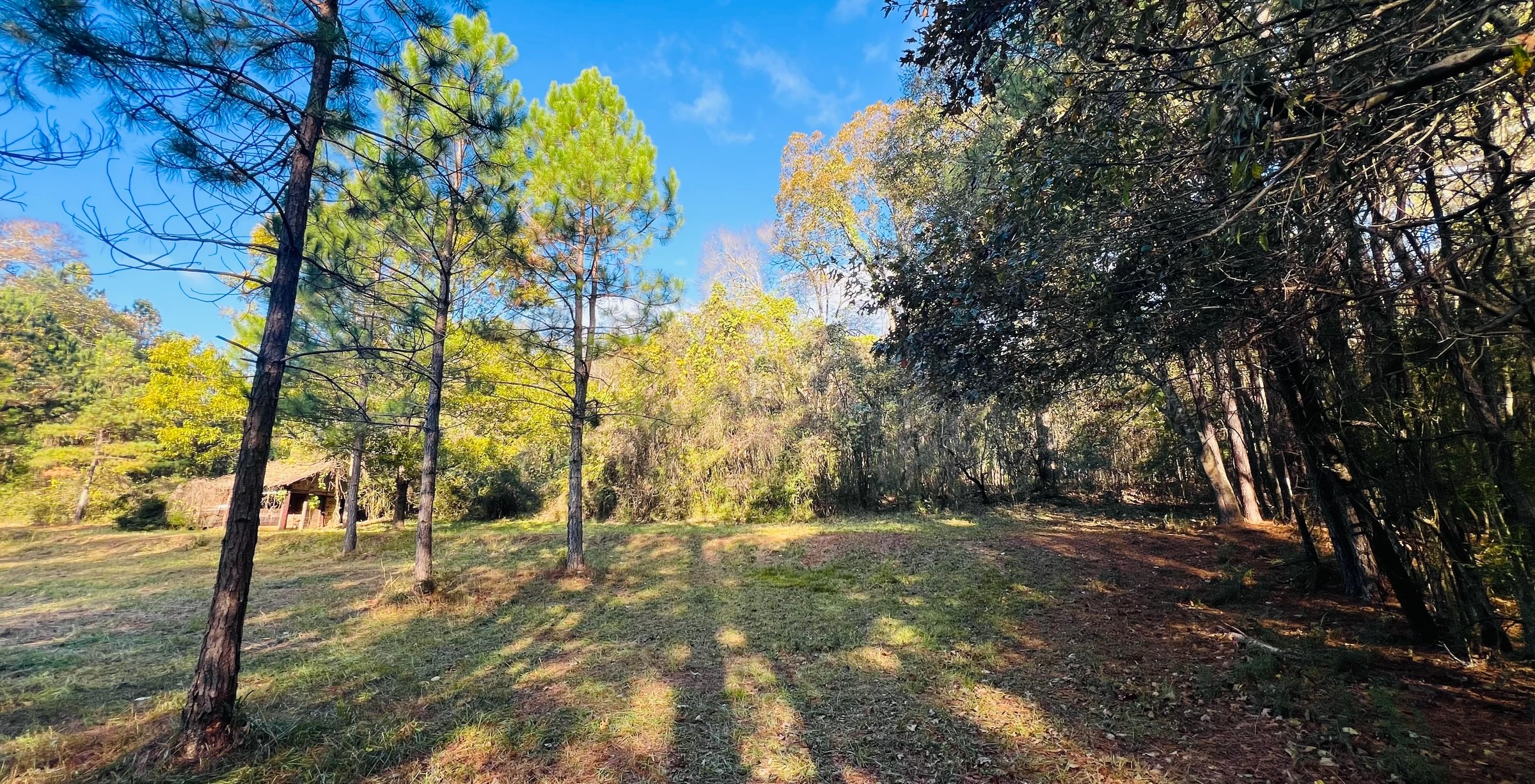 Photo 20 of Paradise Farms, 46.84 acres, Henry County, Georgia